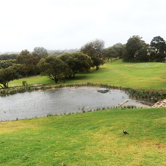 Water catchment pond